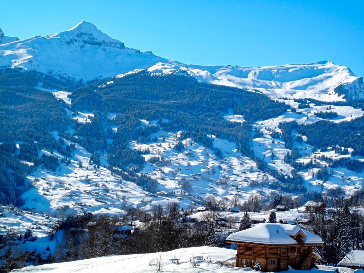 Apartment Chalet Butz By Interhome Grindelwald Dış mekan fotoğraf